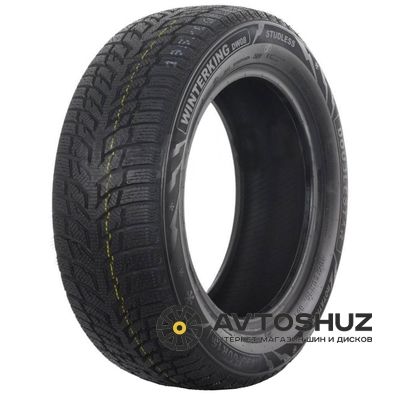 Doublestar WINTERKING DW08 155/70 R13 75T 394799 фото